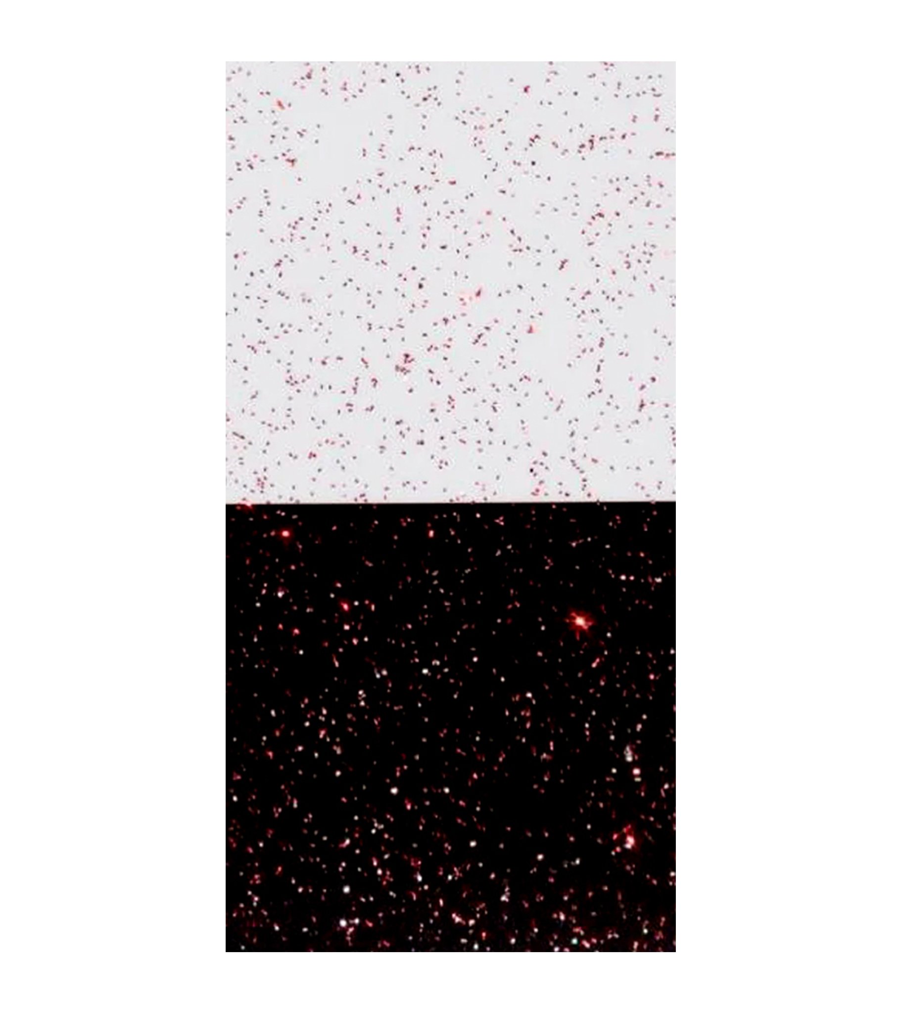 Aerosool-lakk glitter SPRAY.BIKE KEIRIN COLLECTION - FLAKE RED KEIRIN 400ml - Image 2
